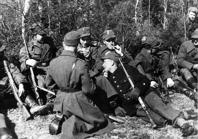 27 wolynska dywizja piechoty