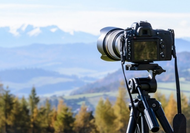 fotografowanie przyrody