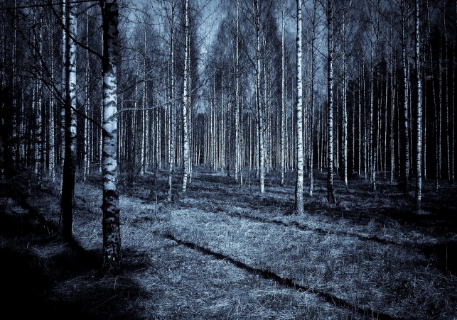 Cmentarz z Epoki Kamienia