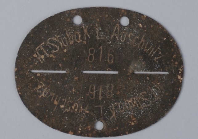 niesmiertelnik auschwitz