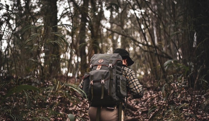 pexels-photo-4314206