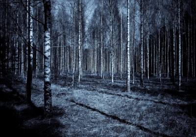 Cmentarz z Epoki Kamienia