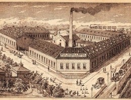 konserwy