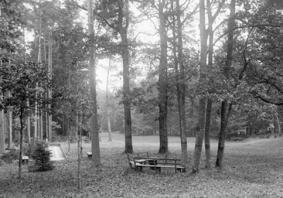 pacyfikacja lesniczowek