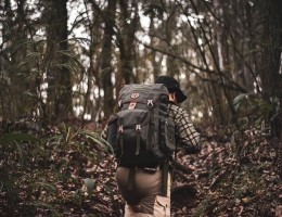 pexels-photo-4314206