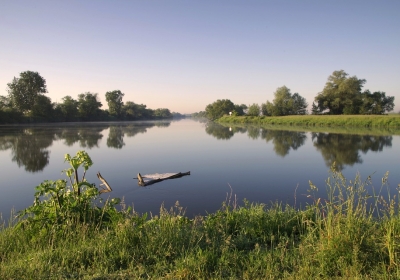 rzeka odra